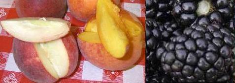 blackberry peach time
